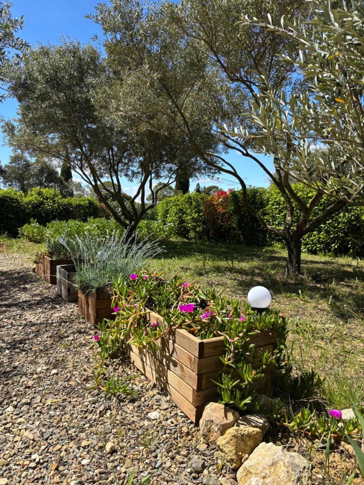 Appartement Romana Puissalicon 34 מראה חיצוני תמונה